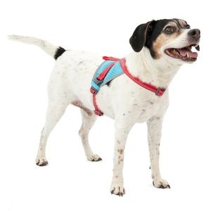 On-Trail Run Lite Dog Safety Vest With Light Large